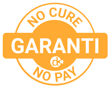 Harddiske recovery - No cure no pay garanti