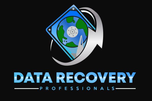 Data Recovery Professionals