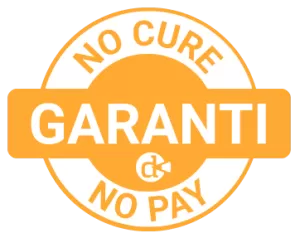 Harddiske recovery - No cure no pay garanti